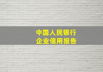 中国人民银行 企业信用报告